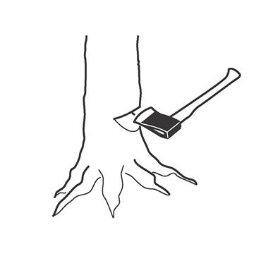 Felling Axe Ash Handle FGS 1.8-810 2.4kg