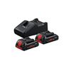 ProCORE18V 4.0Ah Batteries & Charger Starter Kit 18V
