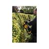 DCMHT567P1 XR Hedge Trimmer 18V 1 x 5.0Ah Li-ion