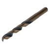 BLACK&GOLD HSS Drill Bit 10.0mm