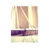 Stiff Bassine Broom 600mm (24in) + Handle & Stay