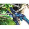 Countryman Anvil Secateurs