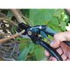Countryman Anvil Secateurs