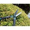 Countryman Hedge Shear 250mm (10in)