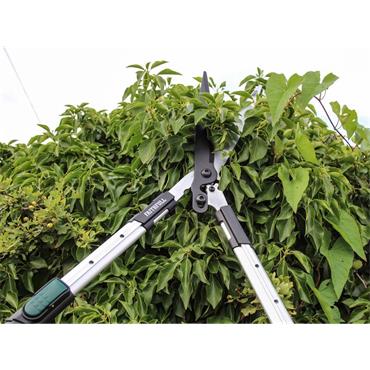 Countryman Telescopic Hedge Shear 12in Blade