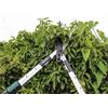 Countryman Telescopic Hedge Shear 12in Blade