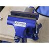 Light-Duty Mechanics Vice 100mm (4in)
