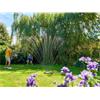 Rectangular Sprinkler Pro 220mÂ²
