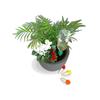 2717 Green AquaSolo Watering Cone for Medium 16in Pots