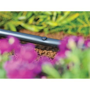 2779 Blanking Plug (Pack 10)