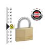 Solid Brass 50mm Padlock 5-Pin - Keyed Alike x 2