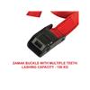 Lashing Strap with Metal Buckle, Coloured 5m 150kg (Pack 2)