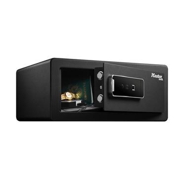 Large Biometric Safe