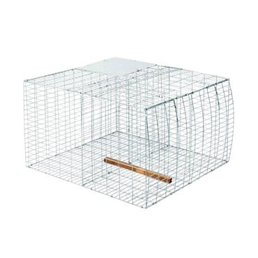 Larsen Cage Trap