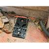 Advanced Rat Trap (Twin Pack)