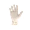 Latex Gloves - XL (Box 100)
