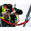 Interchangeable Tool Lanyard