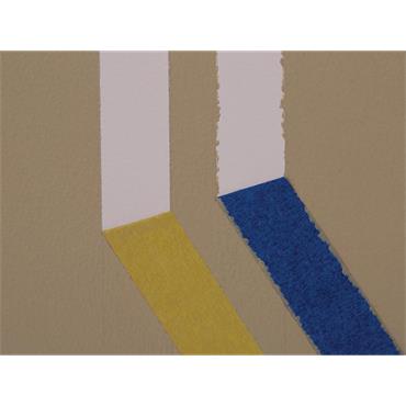 FrogTapeÂ® Delicate Surface Masking Tape 36mm x 41.1m