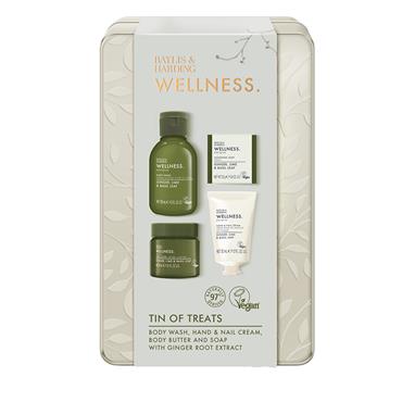 BAYLIS & HARDING WELLNESS TIN OF TREATS GIFT SET