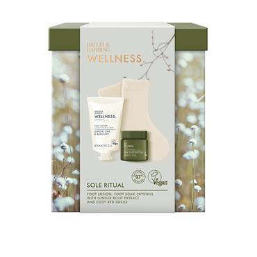 BAYLIS & HARDING WELLNESS RESTORE & UNWIND HAMPER GIFT SET