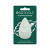 ECOTOOLS BLURRING BLENDER