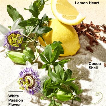 HAPPY IN PARADISE EDT