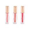 PROFUSION DREAM POUT LIP OIL SET