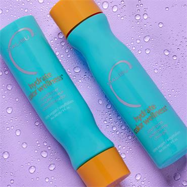 HYDRATE COLOR WELLNESS SHAMPOO & CONDITIONER DUO