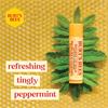 BURTS BEES BEESWAX LIP BALM