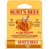 BURTS BEES HONEY LIP BALM