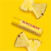 BURTS BEES TROPICAL PINEAPPLE LIP BALM