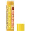 BURTS BEES TROPICAL PINEAPPLE LIP BALM