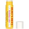 BURTS BEES BIRTHDAY CAKE LIP BALM
