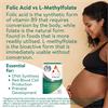 ACTIVE FOLIC 60 CAPSULES