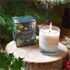 FROSTED FIR AND HOLLY CANDLE 170ML