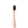 BURST CURVE SONIC TOOTHBRUSH ROSEGOLD