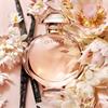 OLYMPEA EDP 50ML