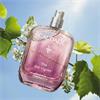 THE DES VIGNES FRESH FRAGRANCE 50ML