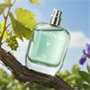 EAU DES VIGNES FRESH FRAGRANCE 50ML