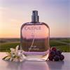 AGNE DES VIGNES EDP 50ML