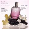 THE DES VIGNES FRESH FRAGRANCE 100ML