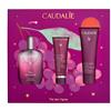 THE DES VIGNES FRAGRANCE GIFT SET