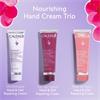 NOURISHING HAND CREAM TRIO