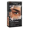 BROW COLOR 1.0 BLACK