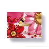 CLARINS MULTI ACTIVE SET