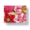 CLARINS SUPER RESTORATIVE SET