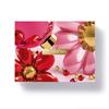 CLARINS NUTRI LUMIERE SET