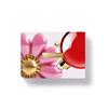CLARINS DOUBLE SERUM 75ML SET