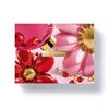 CLARINS BODY MOISTURISING SET