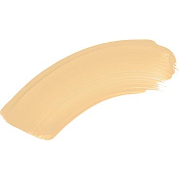 NEW ERA SKIN PROTECTING CONCEALER